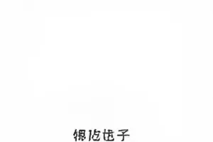 现场工作人员陈述的录音转写片段
